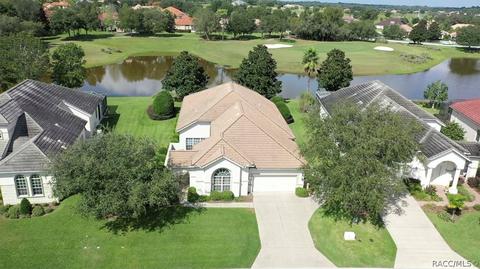 1101 W Skyview Landings Dr, Hernando, FL 34442 photo 6