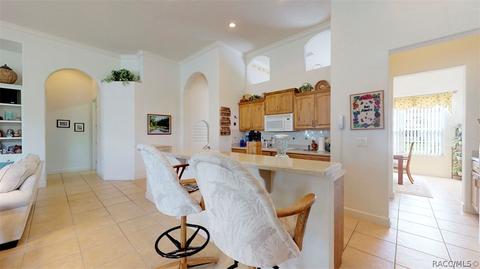 1101 W Skyview Landings Dr, Hernando, FL 34442 photo 16