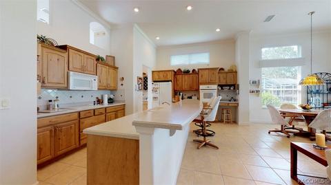 1101 W Skyview Landings Dr, Hernando, FL 34442 photo 18