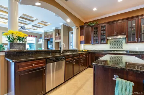 1436 W Double Eagle Ct, Hernando, FL 34442 photo 10