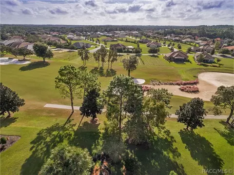 1436 W Double Eagle Ct, Hernando, FL 34442 photo 46