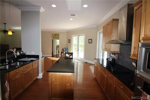 448 E Ireland Ct, Hernando, FL 34442 photo 14