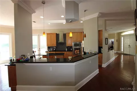 448 E Ireland Ct, Hernando, FL 34442 photo 17