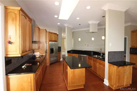 448 E Ireland Ct, Hernando, FL 34442 photo 15