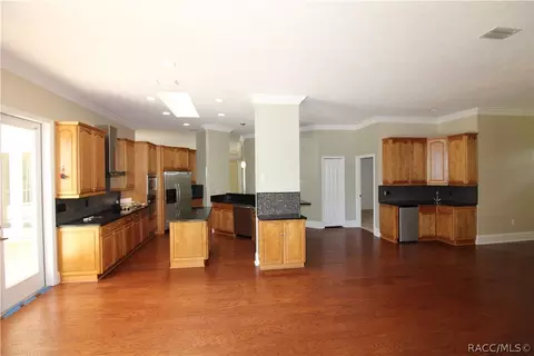 448 E Ireland Ct, Hernando, FL 34442 photo 16