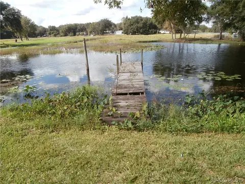 3984 N Bluewater Dr, Hernando, FL 34442 photo 2