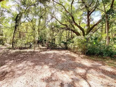 3984 N Elwyn Pt, Hernando, FL 34442 photo 2