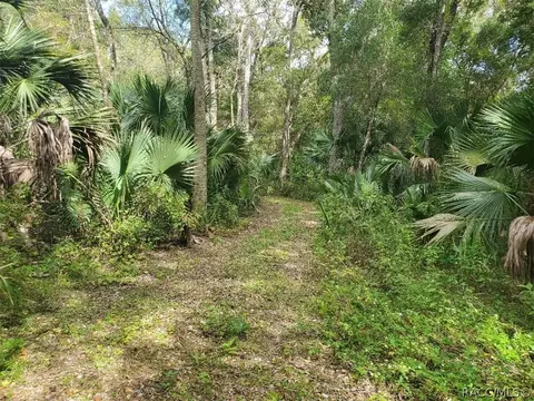 3984 N Elwyn Pt, Hernando, FL 34442 photo 3