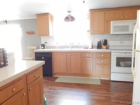 373 E Joshua Ct, Hernando, FL 34442 photo 17