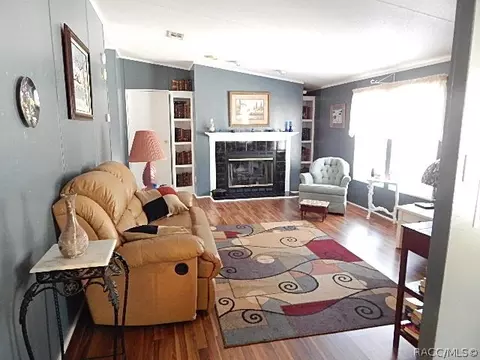 373 E Joshua Ct, Hernando, FL 34442 photo 22