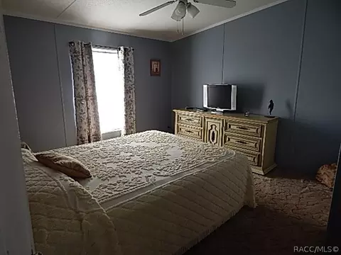 373 E Joshua Ct, Hernando, FL 34442 photo 25