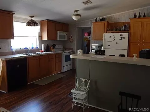 373 E Joshua Ct, Hernando, FL 34442 photo 18
