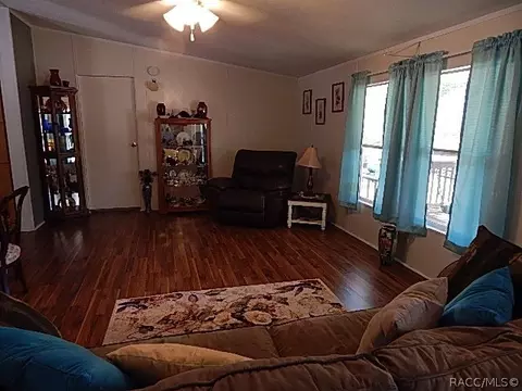 373 E Joshua Ct, Hernando, FL 34442 photo 11