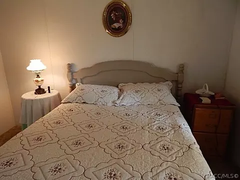 373 E Joshua Ct, Hernando, FL 34442 photo 23