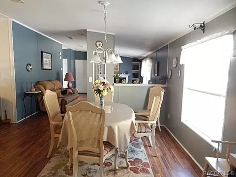 373 E Joshua Ct, Hernando, FL 34442 photo 21