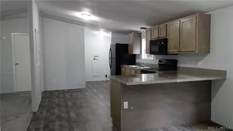 1123 E Chorus Ct, Hernando, FL 34442 photo 7