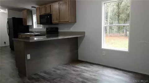 1123 E Chorus Ct, Hernando, FL 34442 photo 6
