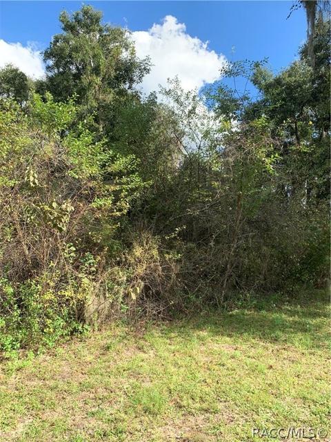 2655 N Perfect Pt, Hernando, FL 34442 photo 1