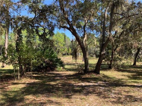 9195 Cedar Cove Rd N, Dunnellon, FL 34434 photo 12