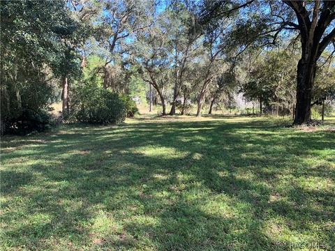9195 Cedar Cove Rd N, Dunnellon, FL 34434 photo 8