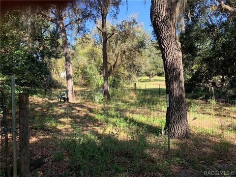 9195 Cedar Cove Rd N, Dunnellon, FL 34434 photo 10