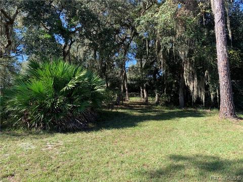 9195 Cedar Cove Rd N, Dunnellon, FL 34434 photo 14