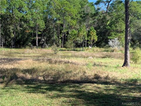 9195 Cedar Cove Rd N, Dunnellon, FL 34434 photo 13