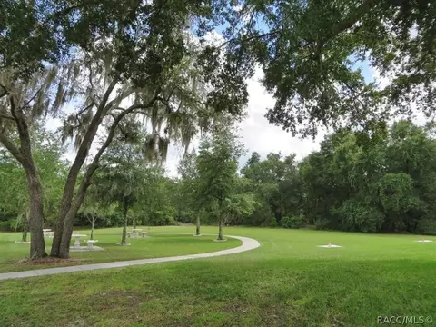 1239 E Silver Thorn Loop, Hernando, FL 34442 photo 43