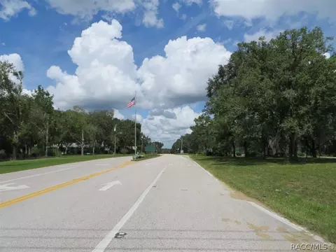 1239 E Silver Thorn Loop, Hernando, FL 34442 photo 44
