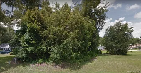3131 N Chandler Dr, Hernando, FL 34442 photo 2