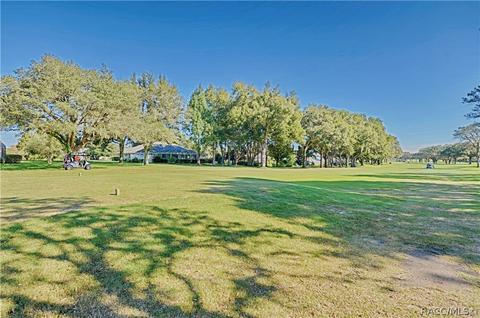 520 Epsom Ct, Hernando, FL 34442 photo 45