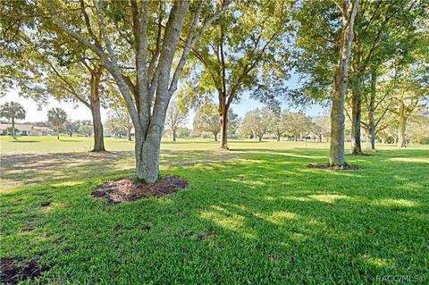 520 Epsom Ct, Hernando, FL 34442 photo 43