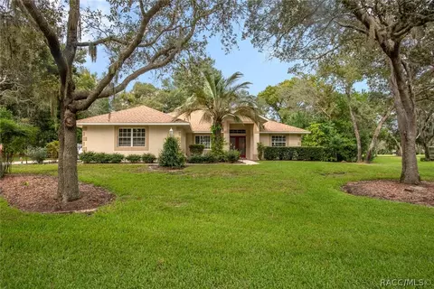 165 E Ireland Ct, Hernando, FL 34442 photo 1