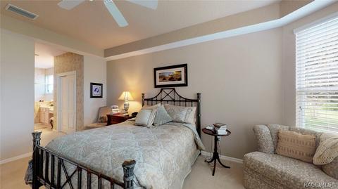 925 W Silver Meadow Loop, Hernando, FL 34442 photo 27