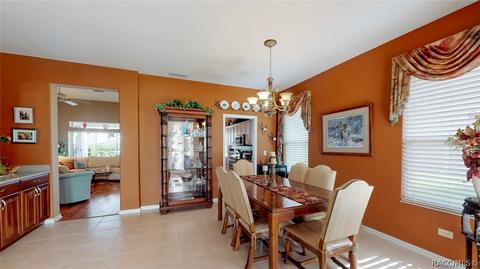 925 W Silver Meadow Loop, Hernando, FL 34442 photo 21