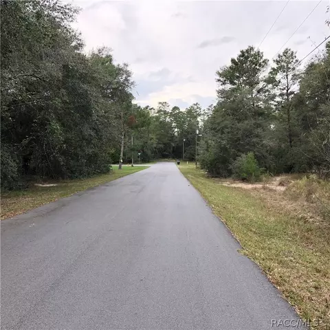 1749 E Humphrey Ln, Hernando, FL 34442 photo 4