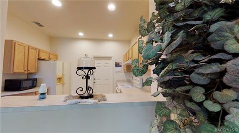 1683 W Spring Meadow Loop, Lecanto, FL 34461 photo 34