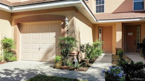 1683 W Spring Meadow Loop, Lecanto, FL 34461 photo 29