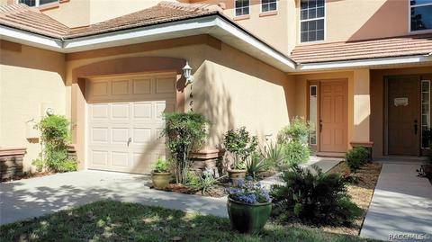 1683 W Spring Meadow Loop, Lecanto, FL 34461 photo 30