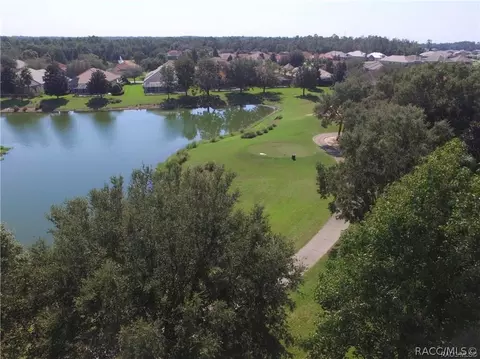 1230 W Double Eagle Ct, Hernando, FL 34442 photo 44