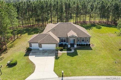 1674 E Gate Dancer Cir, Inverness, FL 34453 photo 5