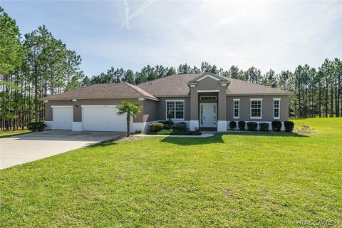 1674 E Gate Dancer Cir, Inverness, FL 34453 photo 2