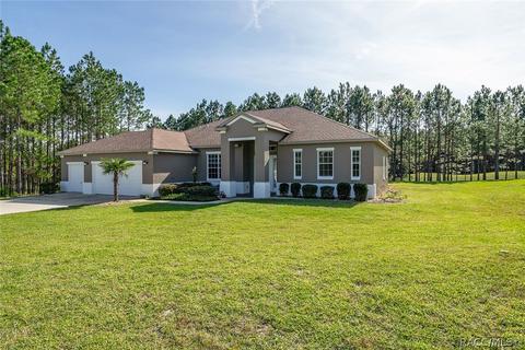 1674 E Gate Dancer Cir, Inverness, FL 34453 photo 3