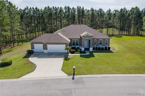1674 E Gate Dancer Cir, Inverness, FL 34453 photo 41