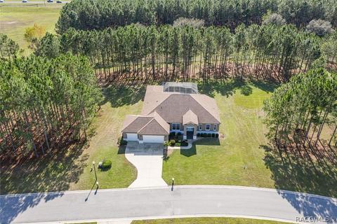 1674 E Gate Dancer Cir, Inverness, FL 34453 photo 6