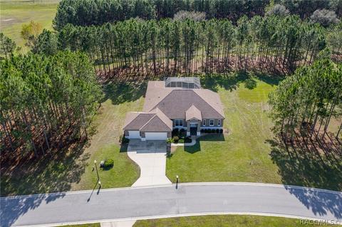 1674 E Gate Dancer Cir, Inverness, FL 34453 photo 42