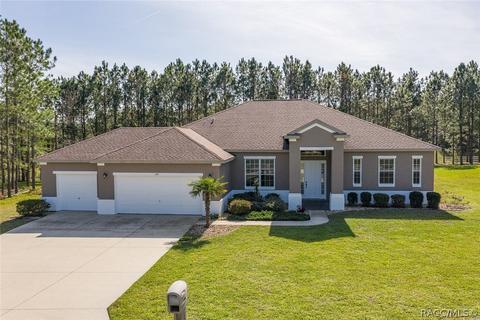 1674 E Gate Dancer Cir, Inverness, FL 34453 photo 1