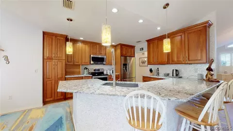 770 E Ireland Ct, Hernando, FL 34442 photo 4