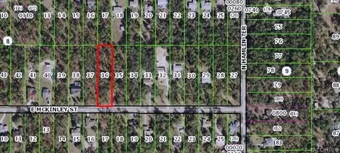 1633 E Mckinley St, Hernando, FL 34442 photo 1
