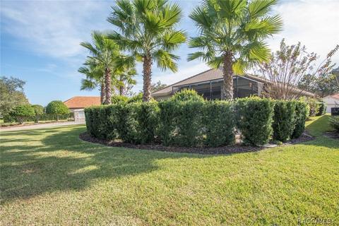 1655 W Laurel Glen Path, Hernando, FL 34442 photo 41